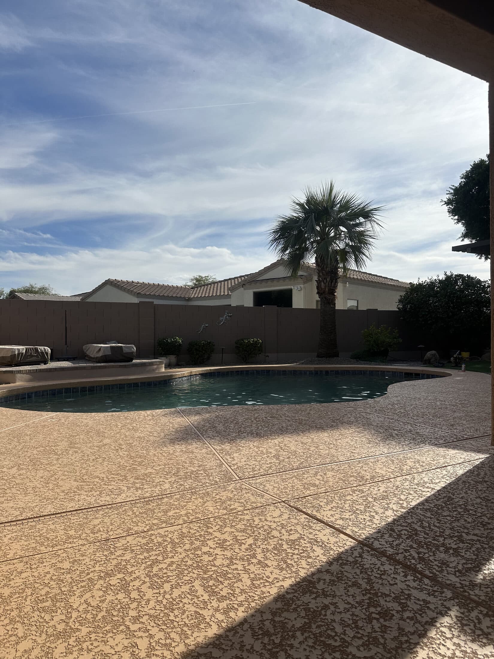 Resurfaced pool deck with palm trees in Greater Phoenix backyard